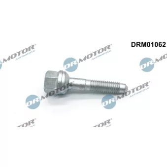 Dr.Motor DRM01062 - Vis, support pour controleur d'injecteurs