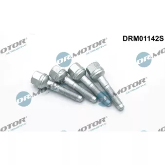 Dr.Motor DRM01142S - Vis, support pour controleur d'injecteurs