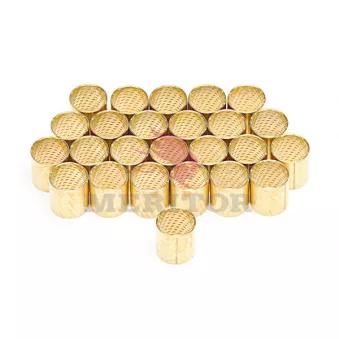 Kit d'accessoires, mâchoire de frein MERITOR OEM 1489912