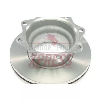 MERITOR MBR5072 - Jeu de 2 disques de frein arrière