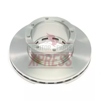 Jeu de 2 disques de frein arrière MERITOR OEM 103836