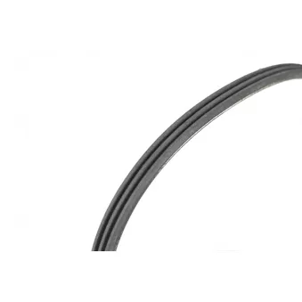 Courroie trapézoïdale à nervures BGA OEM 46738445
