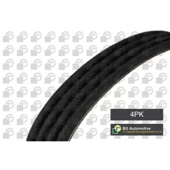 Courroie trapézoïdale à nervures BGA OEM 9936421090