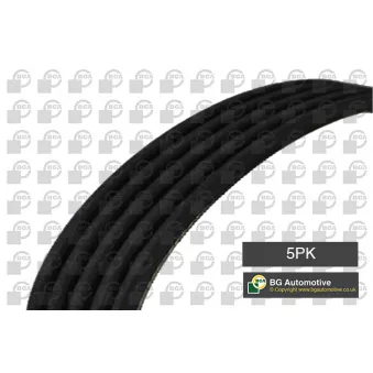 Courroie trapézoïdale à nervures BGA OEM F80715907