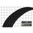 Courroie trapézoïdale à nervures BGA [5PK1665]
