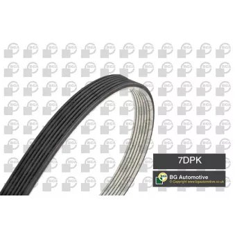 Courroie trapézoïdale à nervures BGA OEM 021145933K