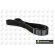 Courroie trapézoïdale à nervures BGA [8PK1310]