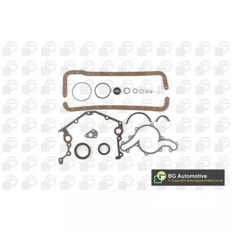 Pochette basse BGA OEM 546325