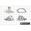 BGA CP2182A - Pompe à eau, refroidissement du moteur