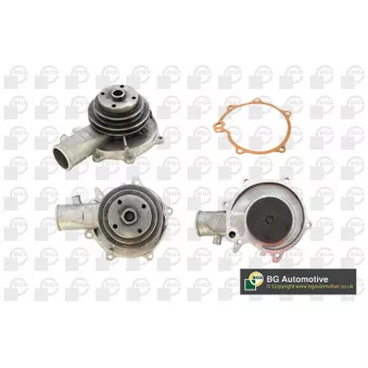 Pompe à eau, refroidissement du moteur BGA OEM 90141738