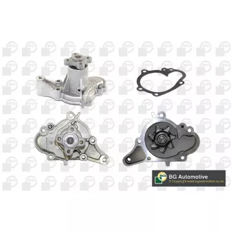 Pompe à eau, refroidissement du moteur BGA OEM 2510002502