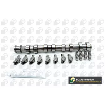 Jeu d'arbres à came BGA OEM 24410111
