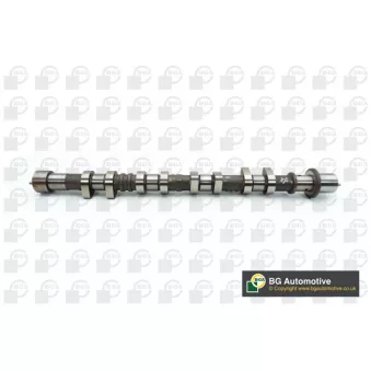 Arbre à came BGA CS3620
