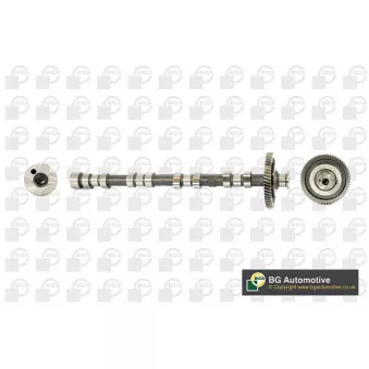 Arbre à came BGA OEM 1015B008