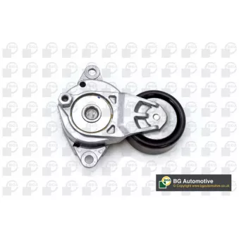 Poulie renvoi/transmission, courroie trapézoïdale à nervures BGA OEM 166200Y010