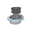 DAYCO DP022 - Pompe à eau