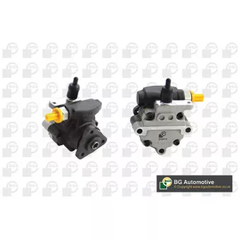 Pompe hydraulique, direction BGA OEM QVB500080E