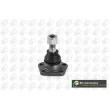 BGA SJ3303 - Rotule de suspension avant 