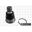 BGA SJ6304 - Rotule de suspension avant 