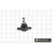 BGA SJ9625 - Rotule de suspension avant 