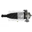 MAPCO 40731 - Ressort pneumatique, châssis