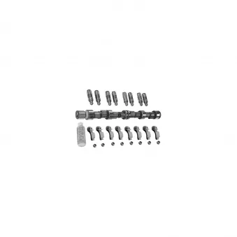 Jeu d'arbres à came FEBI BILSTEIN OEM 0636004SS