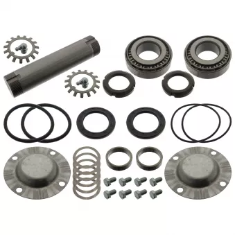 Kit d'assemblage, pivot de fusée d'essieu FEBI BILSTEIN 06197 pour SCANIA P,G,R,T - series G 480, R 480 - 480cv