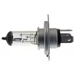 FEBI BILSTEIN 06581 - Ampoule, projecteur principal