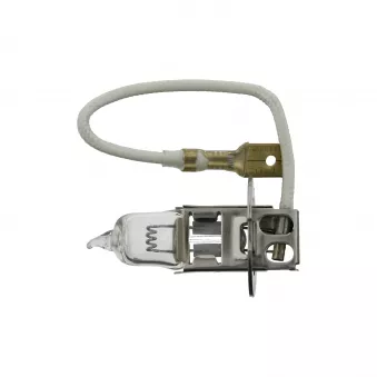 Ampoule, projecteur antibrouillard FEBI BILSTEIN 06706 pour MAN TGS 26,400 - 400cv