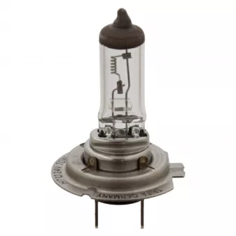 Ampoule, projecteur principal FEBI BILSTEIN 09668 pour SCANIA L,P,G,R,S - series P450 - 450cv