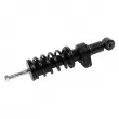 FEBI BILSTEIN 102160 - Amortisseur, suspension de la cabine