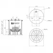 FEBI BILSTEIN 102721 - Ressort pneumatique, suspension pneumatique arrière gauche