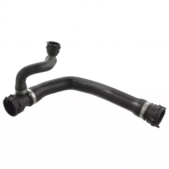 FEBI BILSTEIN 103890 - Durite de radiateur