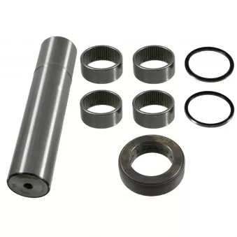 Kit d'assemblage, pivot de fusée d'essieu FEBI BILSTEIN OEM A3003300019