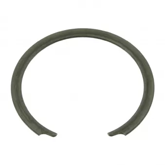 Circlip FEBI BILSTEIN OEM 7669120