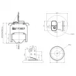 FEBI BILSTEIN 170807 - Ressort pneumatique, suspension pneumatique arrière droit