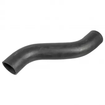 FEBI BILSTEIN 173409 - Durite de radiateur