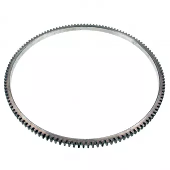 FEBI BILSTEIN 174543 - Couronne dentée, volant moteur
