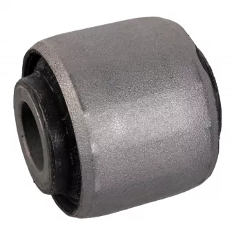 Silent bloc de suspension (train arrière) FEBI BILSTEIN OEM 527733R000