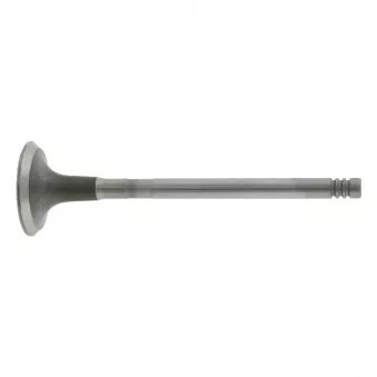 Soupape d'échappement FEBI BILSTEIN OEM 948M6505D2A