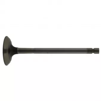 Soupape d'échappement FEBI BILSTEIN 22065