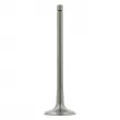 FEBI BILSTEIN 26031 - Soupape d'admission