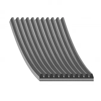 Courroie trapézoïdale à nervures FEBI BILSTEIN OEM 5419972792