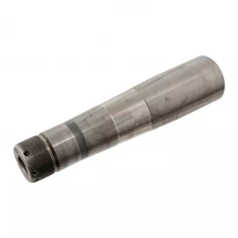 Pivot de fusée d'essieu FEBI BILSTEIN 29484