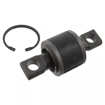 FEBI BILSTEIN 32484 - Suspension, jambe d'essieu