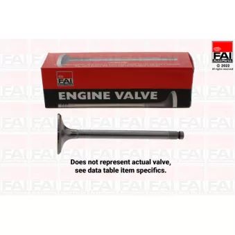 FAI AutoParts EV95297 - Soupape d'émission