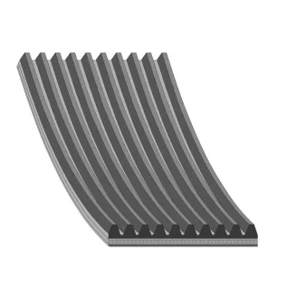 Courroie trapézoïdale à nervures FEBI BILSTEIN 47822