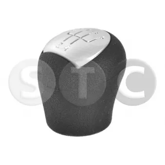 STC T465020 - Pommeau