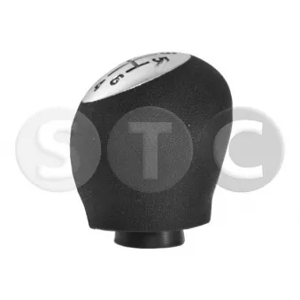 STC T465024 - Pommeau