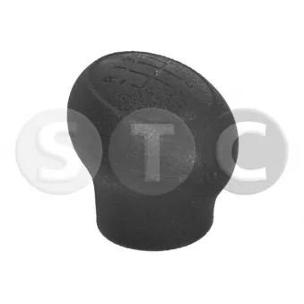 STC T465027 - Pommeau